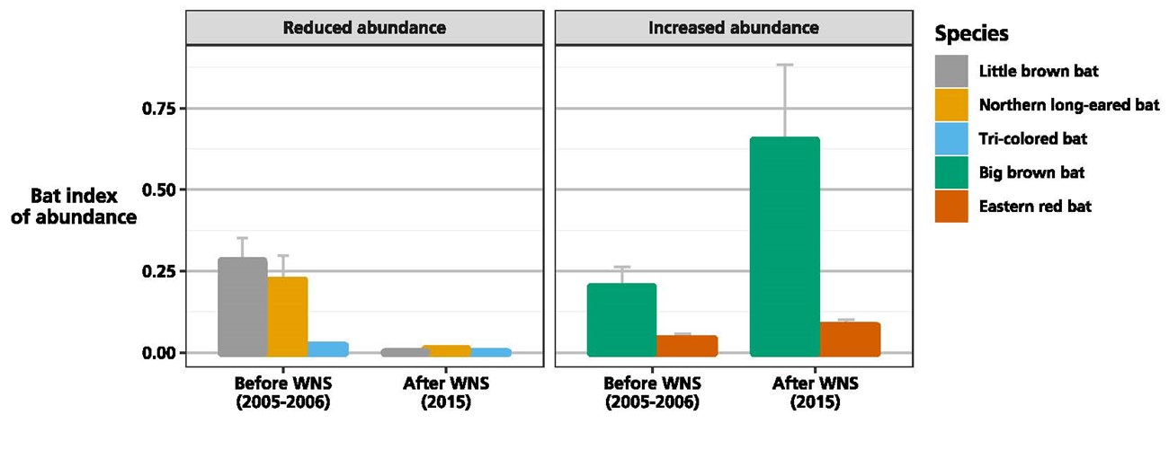 Figure showing some species have declined, while others have increased, after the arrival of white-nose syndrome. Figure showing some species have declined, while others have increased, after the arrival of white-nose syndrome.