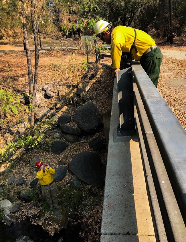 Whiskeytown BAER team member Person leaning over bridge railing to measure cross-section of creek relative to bridge.