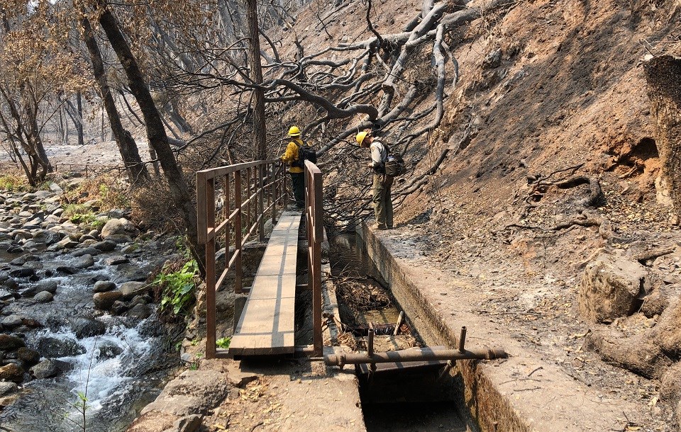 People near steel footbridge on trail with burned trees