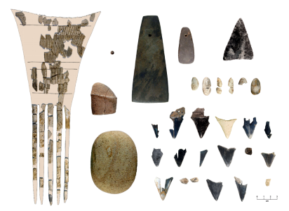 Artifacts from the Whitehurst Freeway Site, about 1300 Years Old, including an Antler Comb, Sharks’ Teeth, and a Stone Phallus.