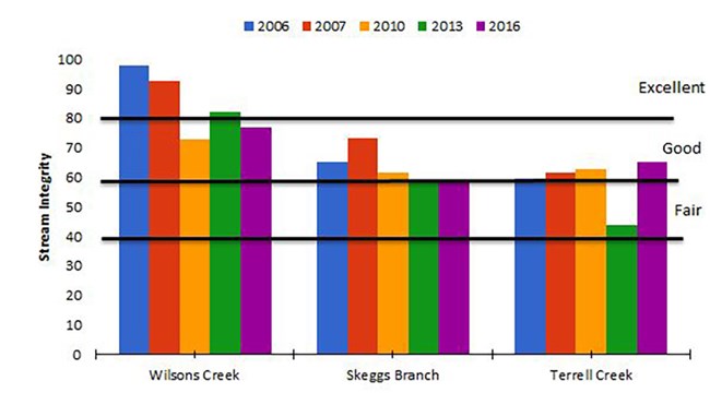 Wilson's Creek Stream Integrity