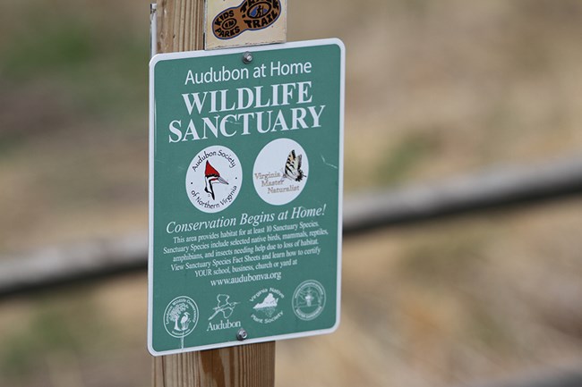 A sign indicating that the area is an "Audubon at Home - Wildlife Sanctuary"