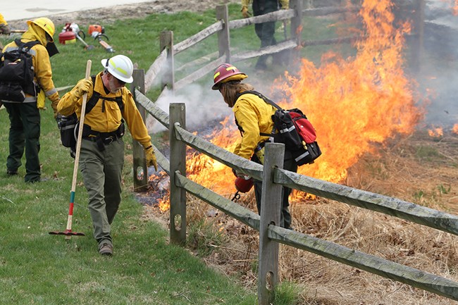 Firefighters use driptorch and hand tools near fence.