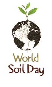 world soil day logo