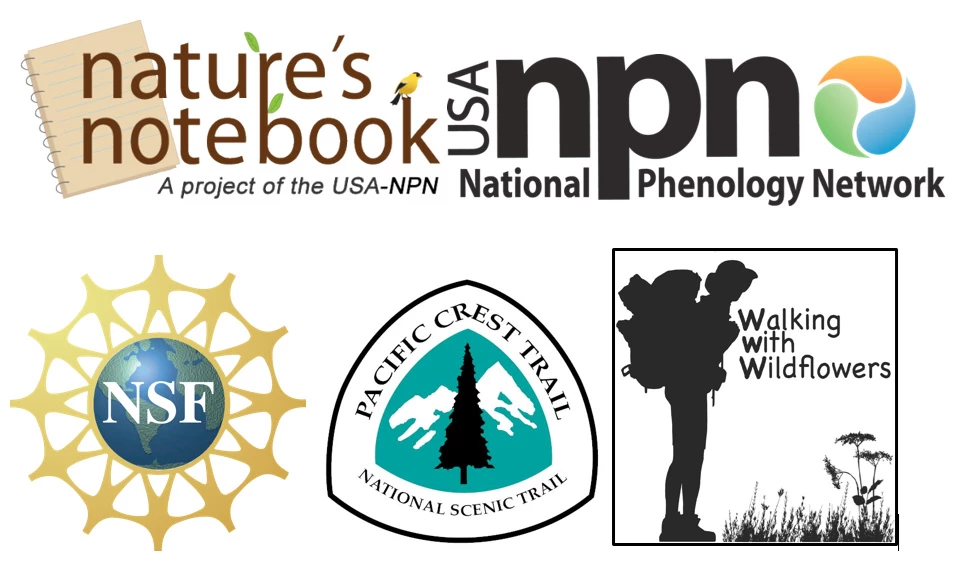 Walking with Wildflowers partner logos Nature's Notebook, National Phenology Network, NSF, Pacific Crest Trail, and Walking With Wildflowers logos