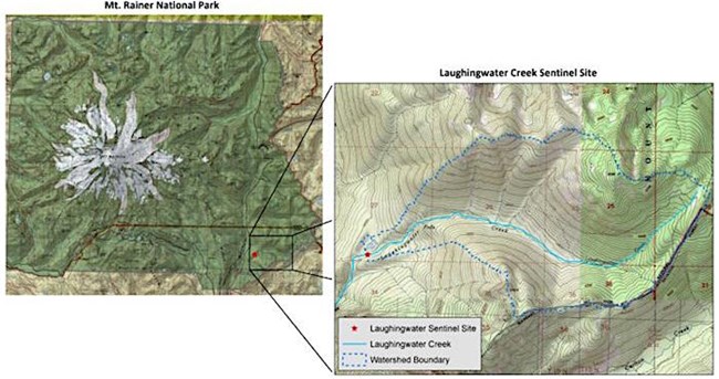 A map of Mount Rainier National Park with a inset map highlighting the southeastern portion of the park with Laughingwater Creek.