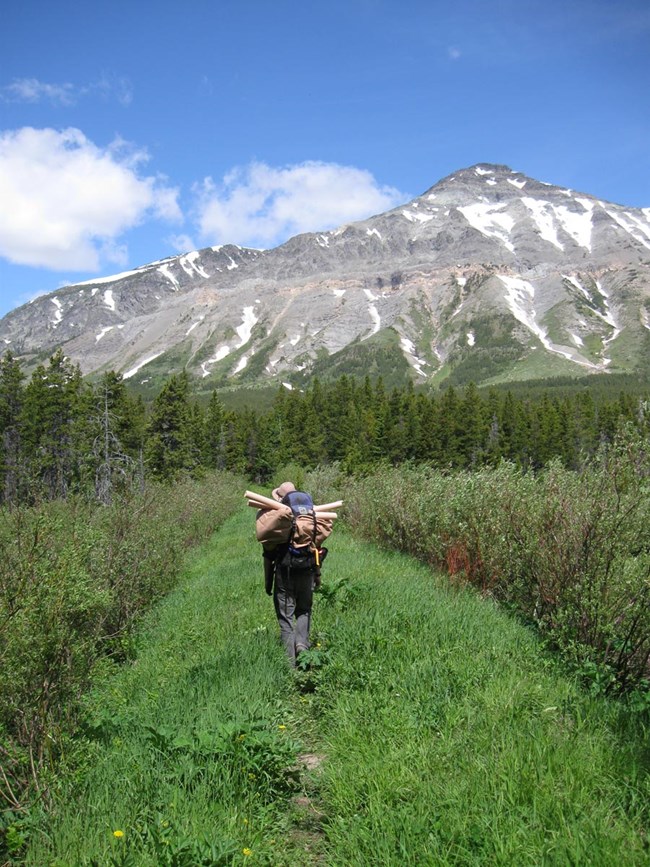 Person with a large pack of supplies hikes on a trail towards a towering mountain.