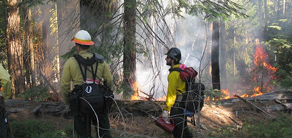 Two firefighters stand near a fire burning in a forested area.