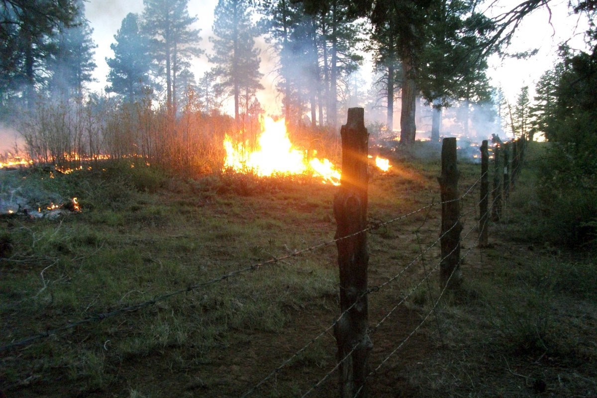 Fire burns vegetation near a barbed wire fence.