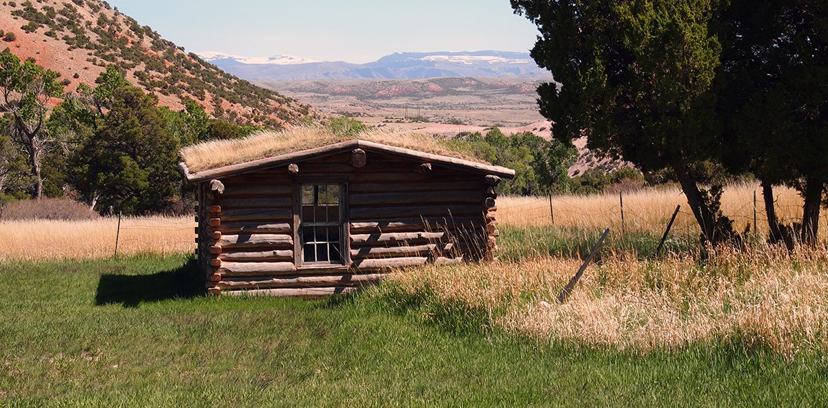 A log cabin schoolhouse sits in a grassy field with a couple of trees nearby and a small hill behind and mountains in the distance.