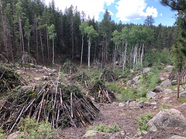 Piles created from the Wind-E-Portal Fuels Reduction Project