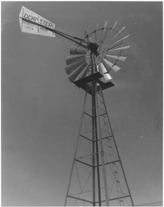 Dempster Windmill Tail