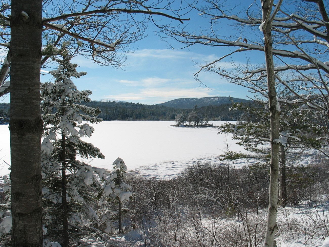A frozen lake in the park view of a frozen lake from the shore
