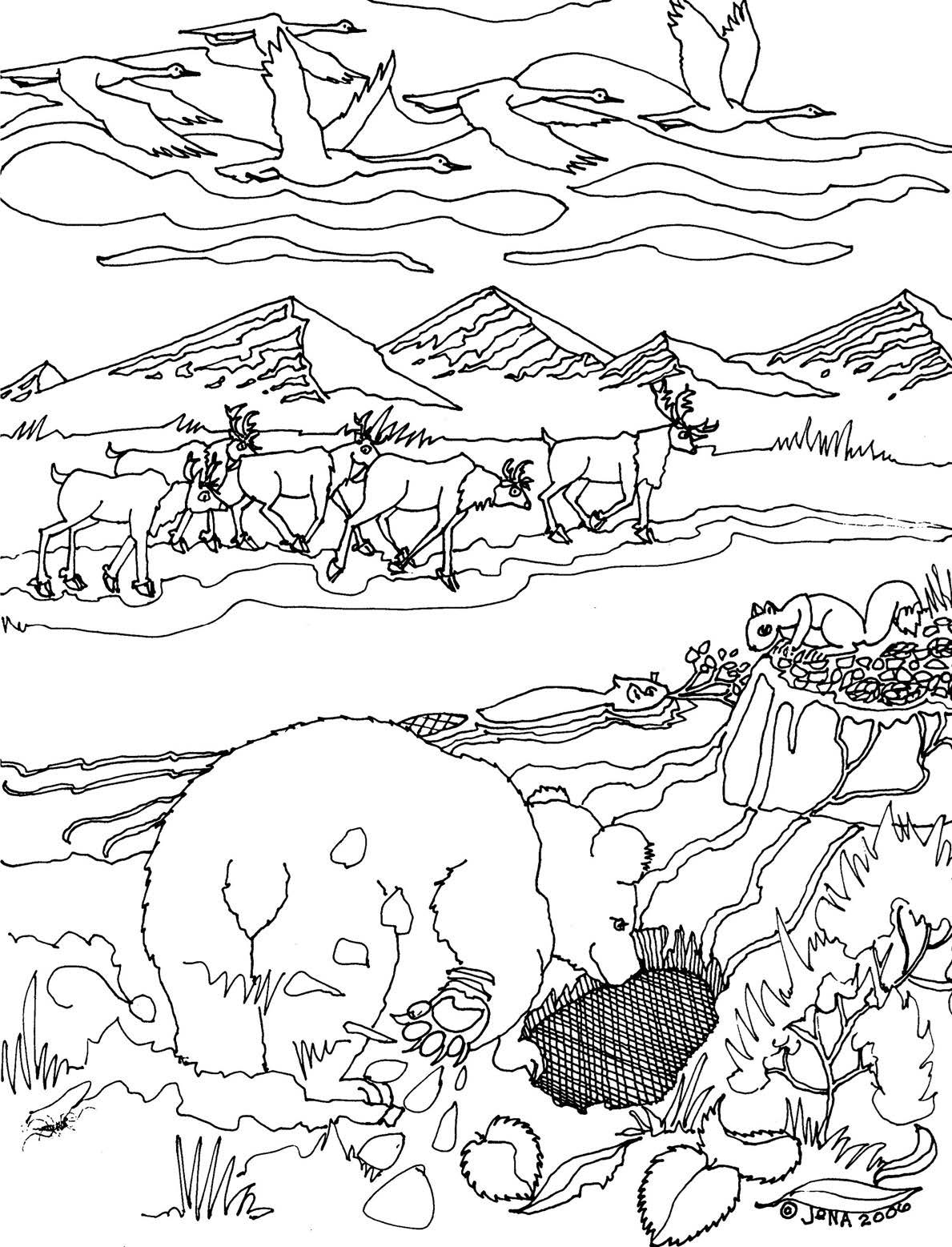 coloring sheet with animals and nature