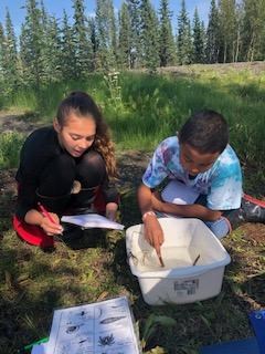 Two kids count macroinvertebrates in a tub of water.