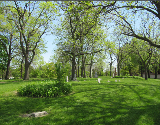 Green grassy field with trees and headstones.