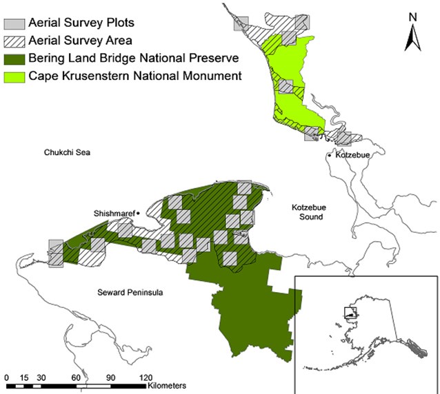 a line drawing map of northwest alaska with coastal areas marked in green