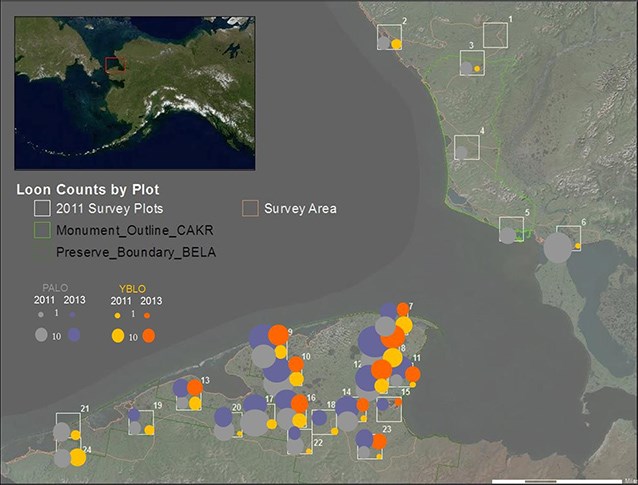 satellite map of northwest alaska with red and yellow boxes overlaid all around the coastline