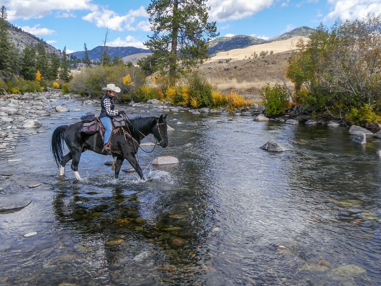 Rider on horseback crossing a stream