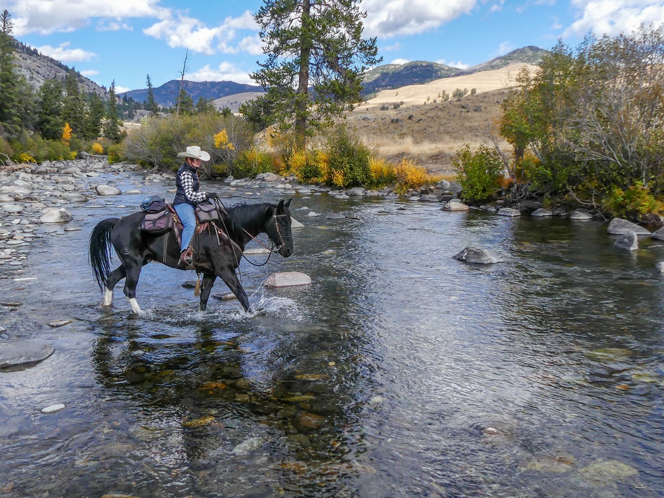 YELL Horse Ride Courtesy of Sherrie & Ron White Rider on horseback crossing a stream