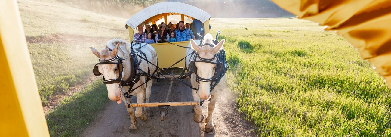 YELL Wagon Ride (NPS Jacob Frank) View out of a wagon looking at people riding in another horse drawn covered wagon