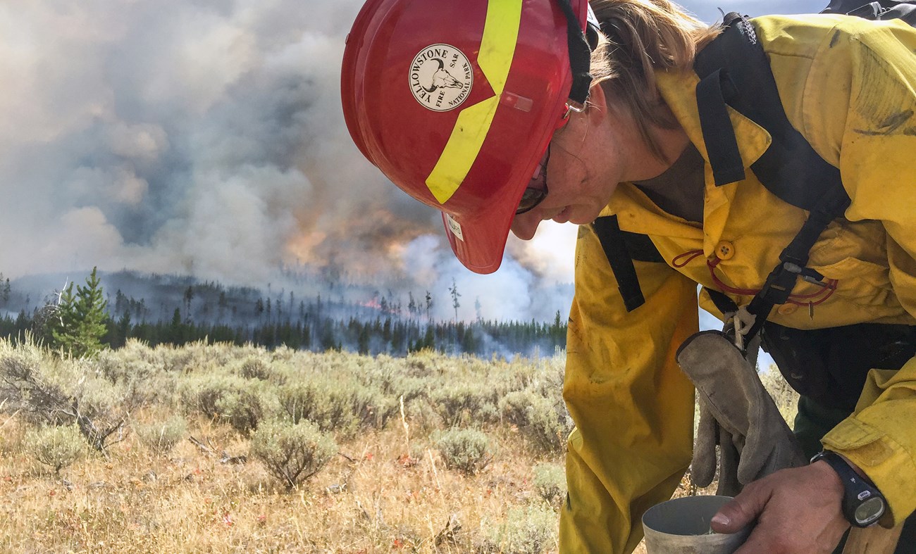 A firefighter leans over with a cup in her hand in a sagebrush flat while a wildfire burns in the forest in the distance.
