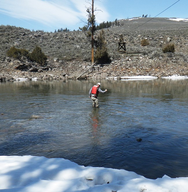 Collecting data on hte Lamar River Researcher standing in the middle of a river holding a piece of equipment in the water