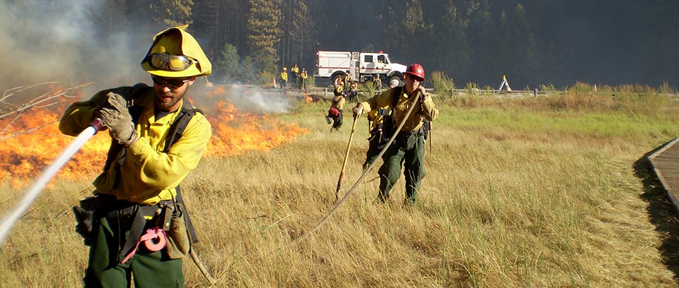 Wildland Fire: Fireline Construction (U.S. National Park Service)