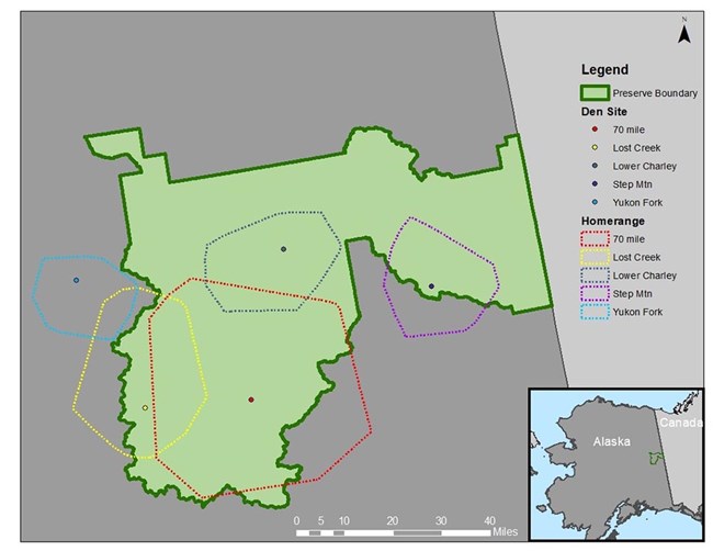 A graphic showing the boundaries of wolf territories in Yukon-Charley Rivers Preserve.