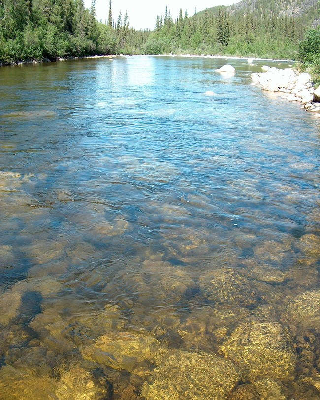 river with rocky bed