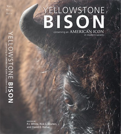 Cover of book showing an extreme close up of a bison's face