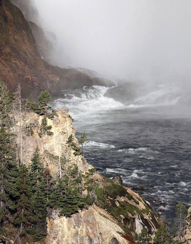 Yellowstone River Tree covered cliffs along a rough flowing river with mist