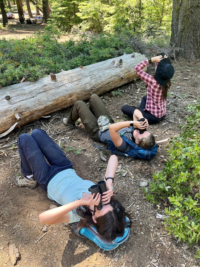 Three researchers laying and sitting on the ground looking up through binoculars.