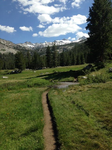 Trail through a meadow surrounded by forest, with mountains beyond