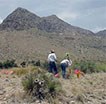 Archeology at Pine Springs Camp