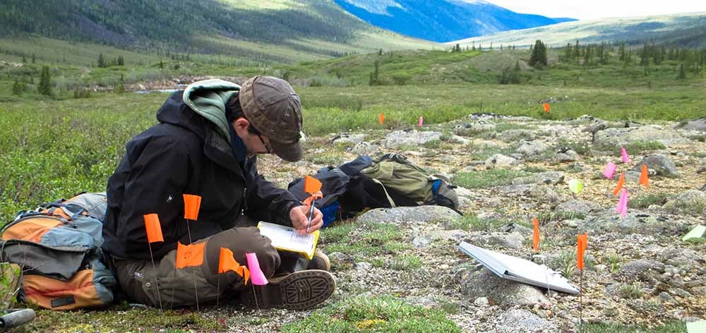 An archaeologist conducts field work.