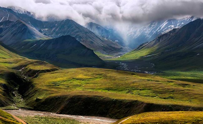 alpine_tundra_DENA_TimRains A view of the alpine tundra high country in Denali.
