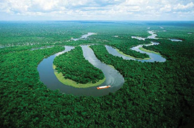 meandering stream in the amazon basin