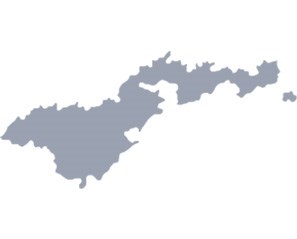 Picture of territory of American Samoa in gray – indicating it was not one of the original 36 states to ratify the 19th Amendment.