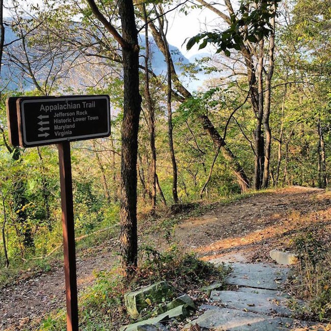 trail junction and sign