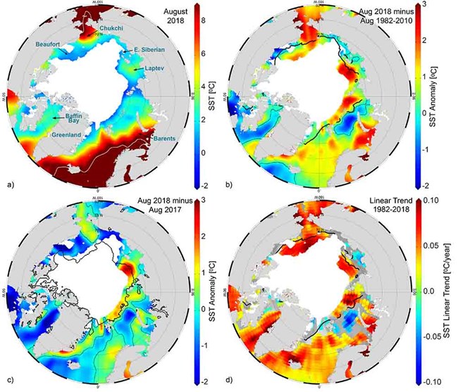 Figure showing circumpolar sea surface temperature anomalies, 2018.