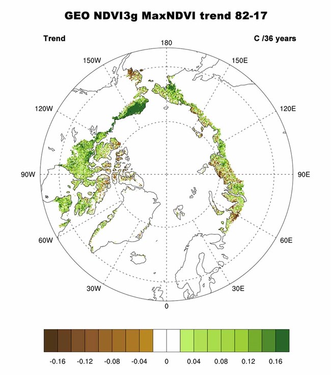 arc18_vegetation_epstein_fig1a_web Figure of circumpolar tundra greenness 2018