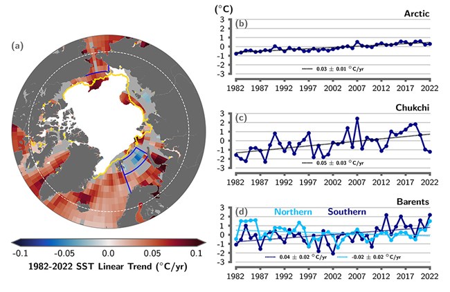 A pan-Arctic map of the sea surface temperature trends.