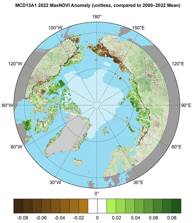 Pan-Arctic map of NDVI anomaly.