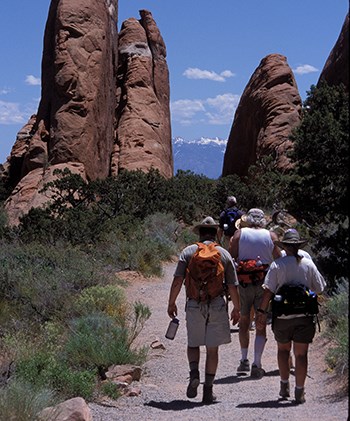 hikers on a trail surrounded by high rock walls and short trees and bushes