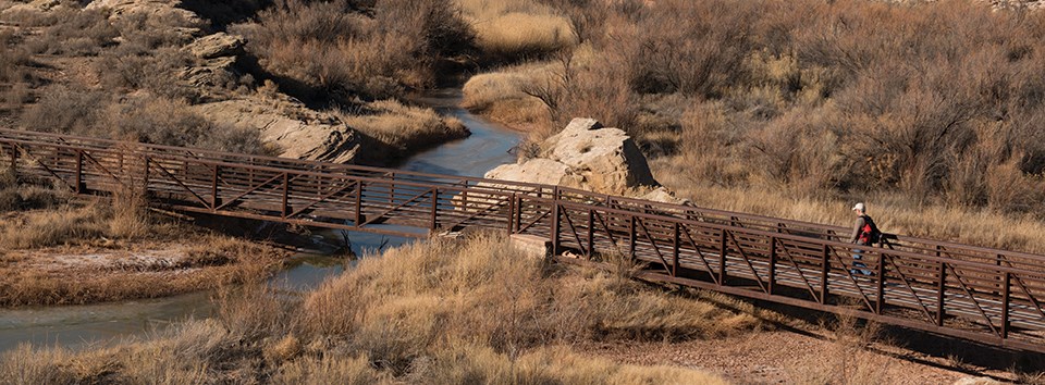 a footbridge crosses a waterway with tamarisk growing on the sides