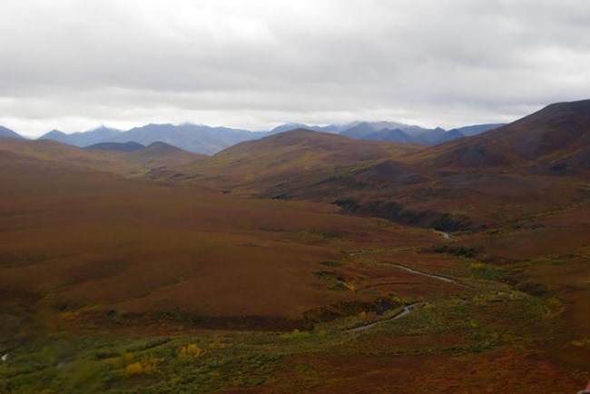 arctic tundra in fall_web Aerial view of Arctic tundra and riparian area in fall color.
