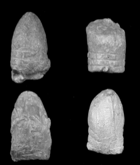 Four cylindrical bullets, one with a rough, flat top surface from possible impact.