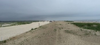 Natural surfaces are used in the parking areas at Assateague Island National Seashore.