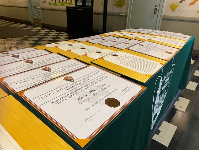 Certificates for the Director's Award winners An awards table with certificates laid across is